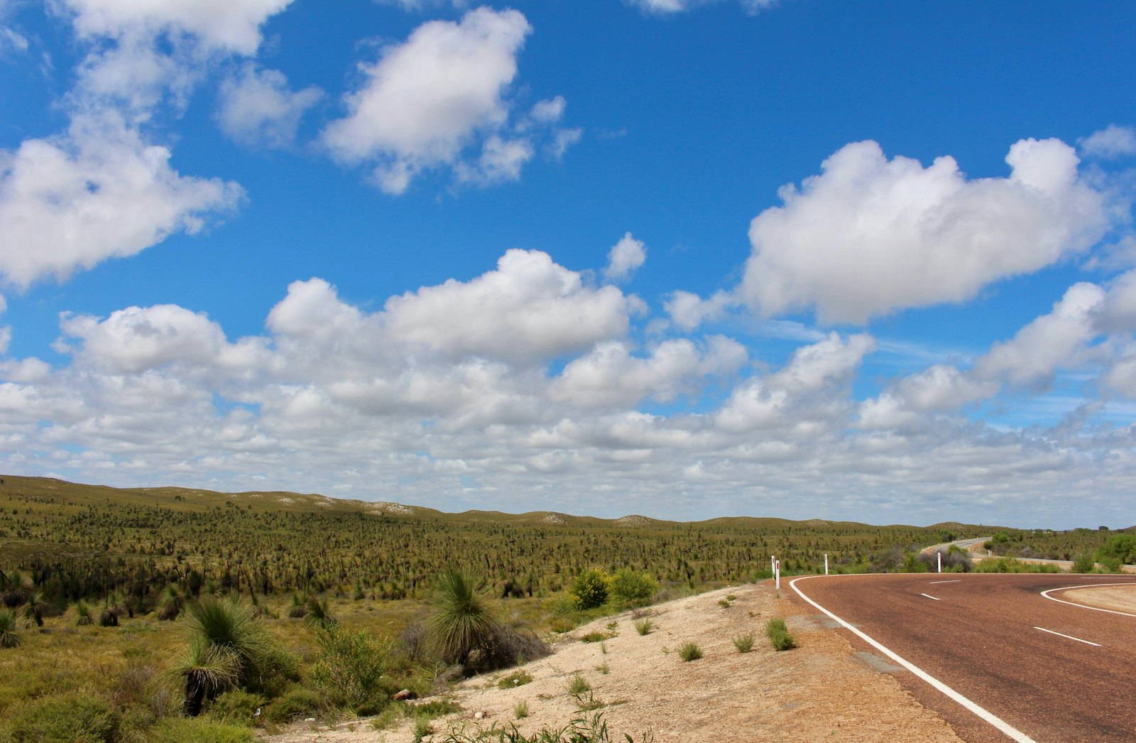 Straight outback road stretching to the horizon