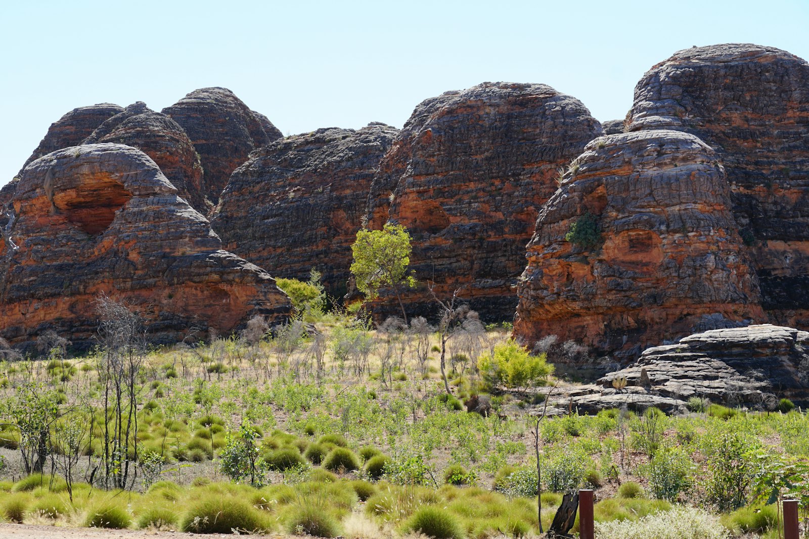 Red rocks and scrub in the outback