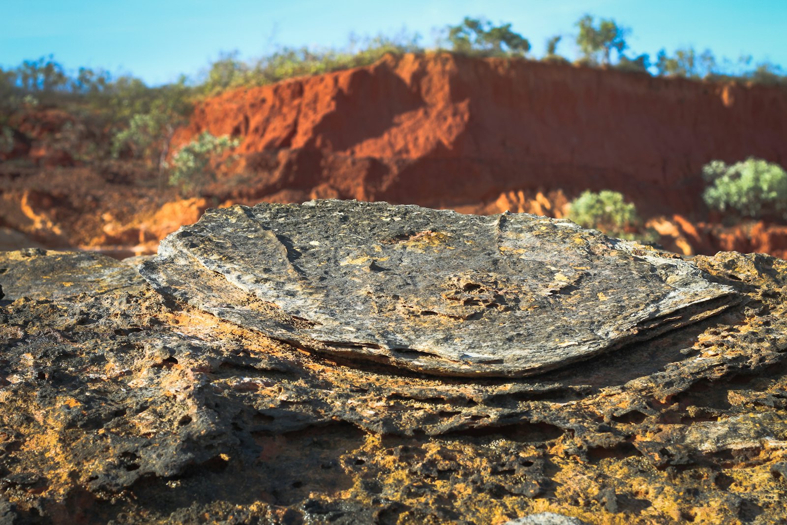 Red soil and low scrub typical of the country around Kambalda